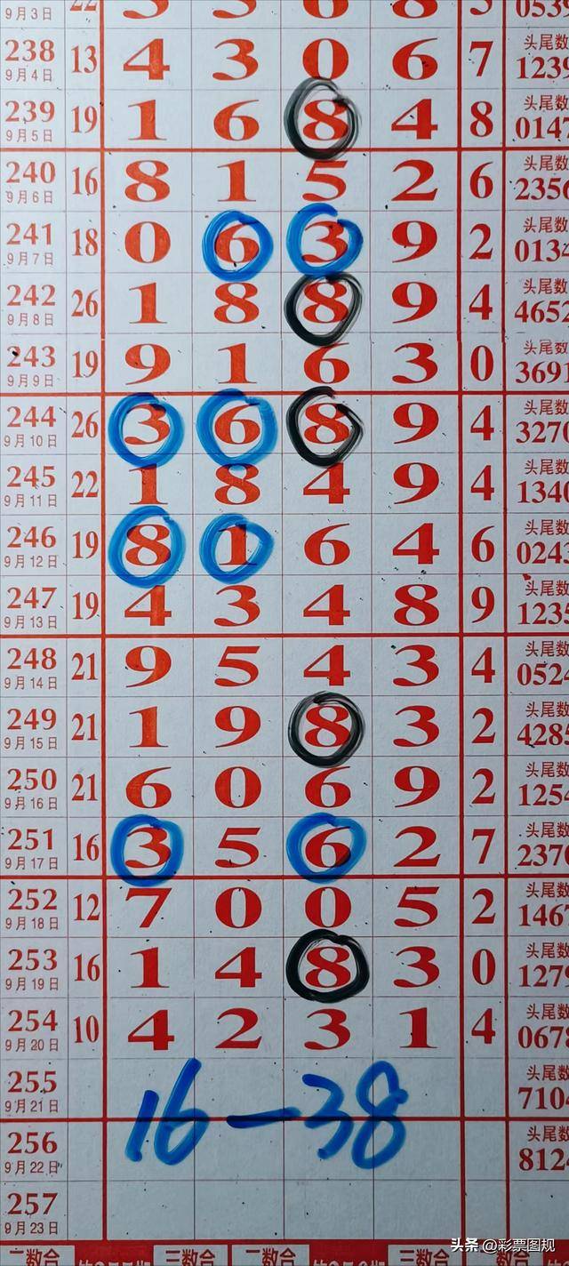 近30期排列五走势图深度解析，洞悉数字背后的规律与策略