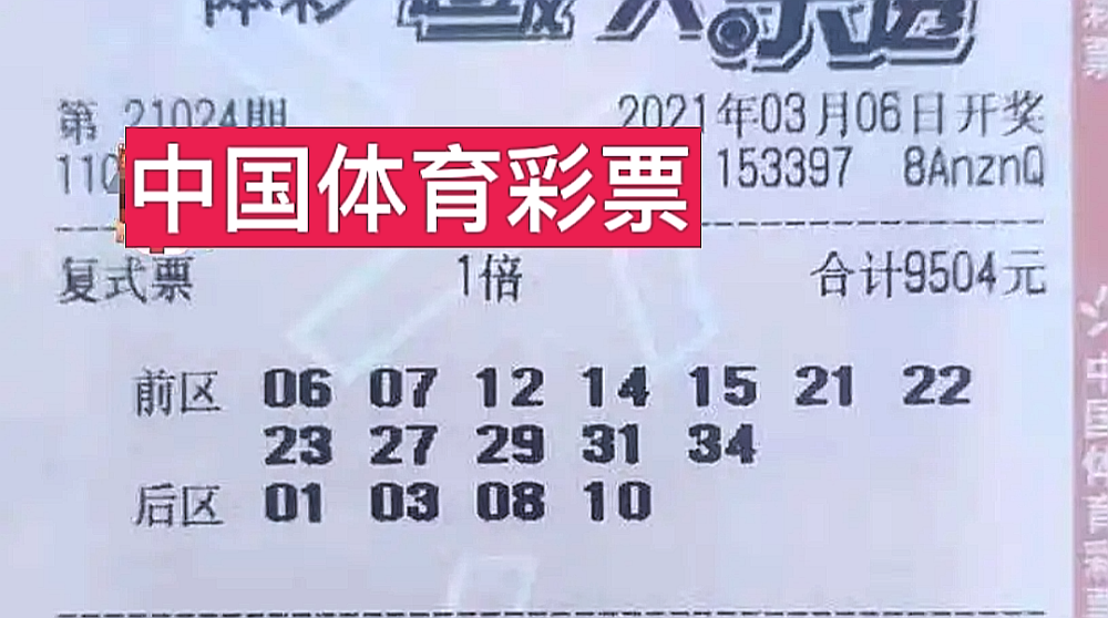 2008年双色球历史开奖记录，回溯与解析