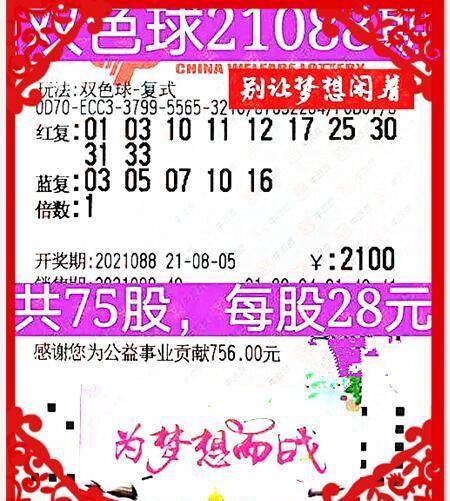 福彩双色球2022131，梦想与希望的交汇点