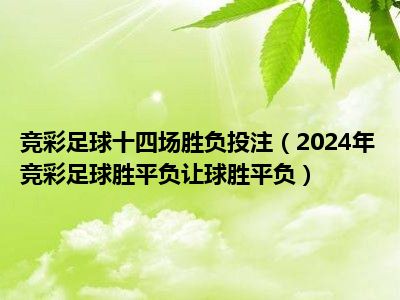 2024竞彩足球，探索未来足球竞猜的无限可能