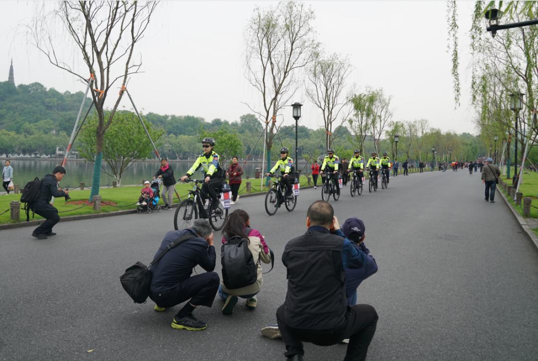 浙江风采走势图，洞悉经济脉动，展望未来蓝图