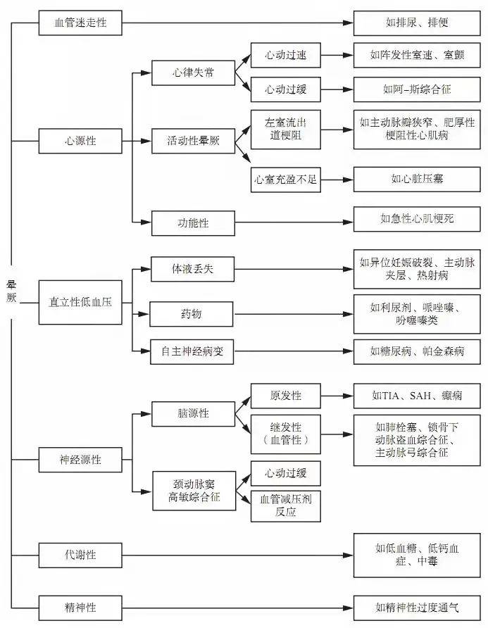 今日双色球开奖号码揭秘，幸运数字背后的奥秘与期待