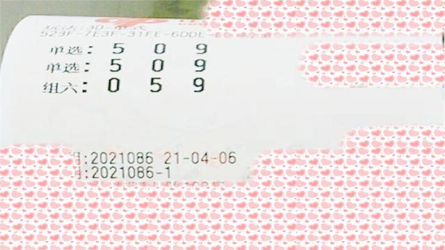 福彩3D试机号，今晚金码揭晓的神秘之旅