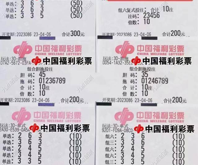 2024新澳门特马今晚开什么，理性看待彩票与理性生活