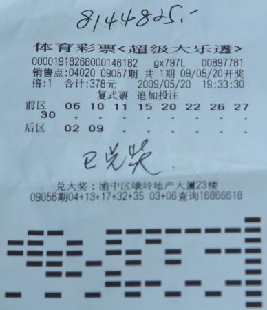 2019年大乐透开奖结果查询，揭秘幸运数字的奥秘