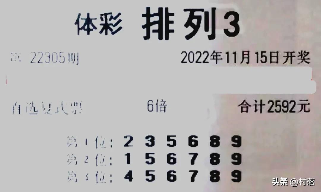 探索体彩3D，数字游戏中的智慧与乐趣