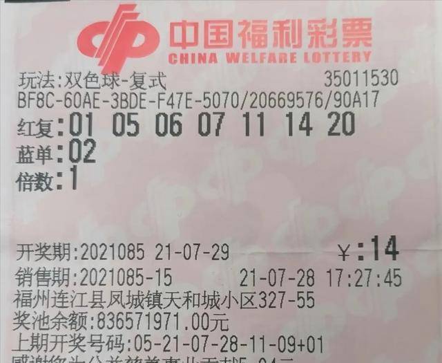 7月4日双色球开奖结果深度解析与查询指南