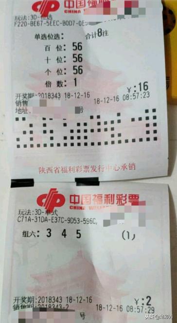 2023039期双色球开奖结果揭晓，幸运数字照亮梦想之光