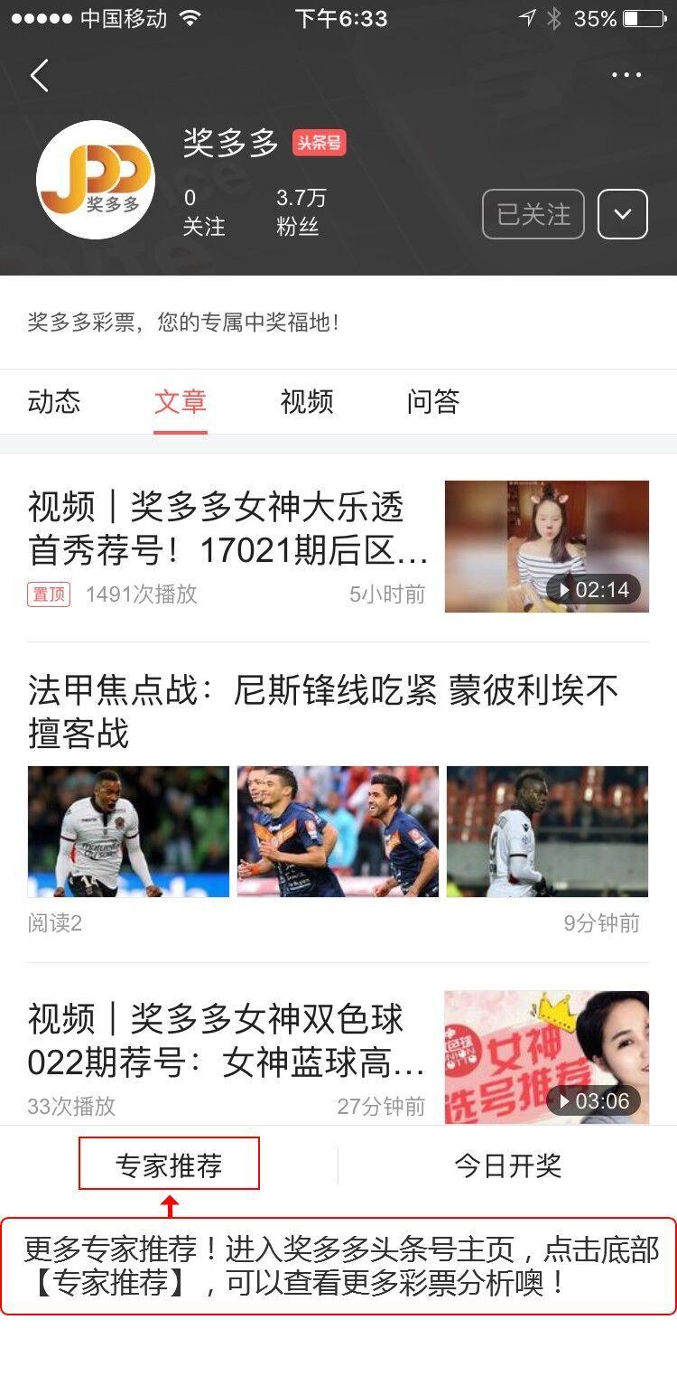 探索双色球第101期，揭秘开奖结果与彩民心声
