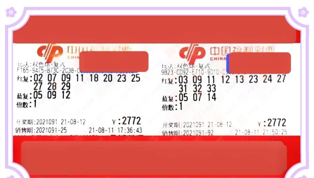 探索双色球论坛的静态魅力，理性分析与智慧碰撞的乐园