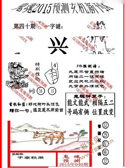 福彩3D丹东字谜图谜总汇，揭秘数字背后的智慧与乐趣
