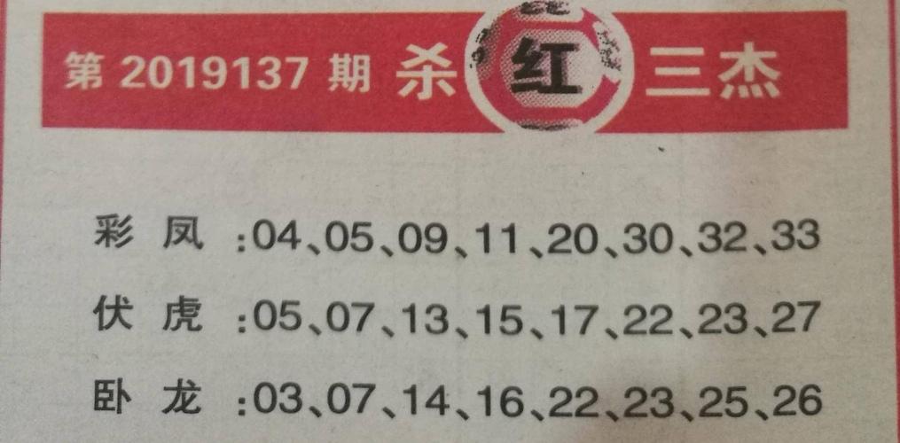 十大专家红球杀号360，揭秘彩票选号的智慧与误区
