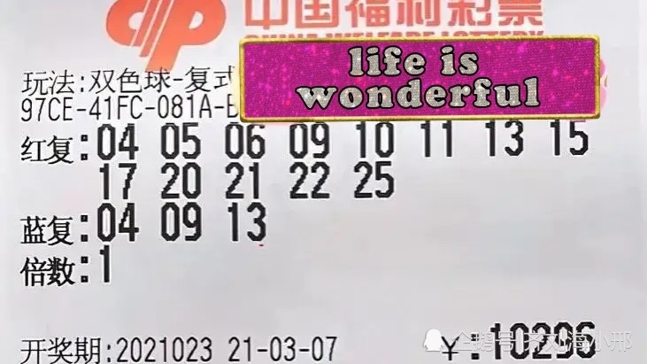 探索双色球23021期的奇妙之旅，数字与梦想的碰撞