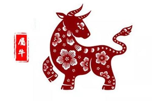揭秘一码与生肖的奇妙结合—精准预测的艺术一码一肖100准是真是假!