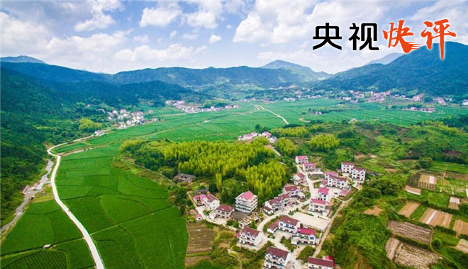 罗源新闻,乡村振兴的绿色引擎—记罗溪村生态农业与旅游融合发展新篇章罗源新闻最新今天