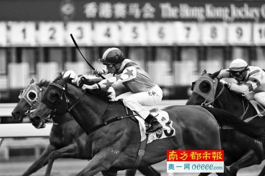 探索香港马会资料，历史、功能与影响港香六个彩今期资料