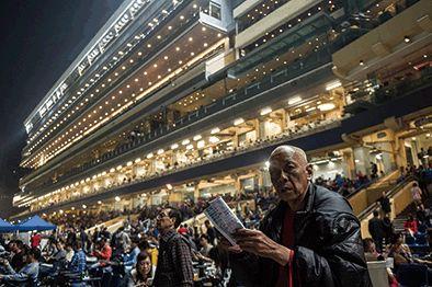 2019年香港马会资料大全，探索赛马的辉煌与魅力