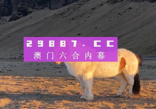 澳门49图库，探索娱乐与信息的双重世界