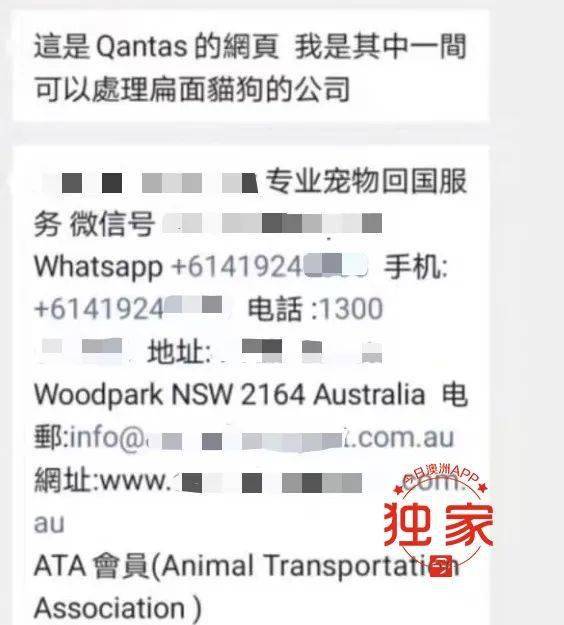 揭秘马报开奖结果，一场数字与运气的奇妙碰撞马报开奖结果查询 今天最新