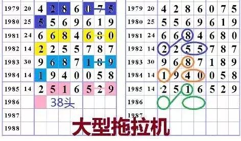七星彩南海网，数字的魅力与生活的智慧南海七星彩投注网