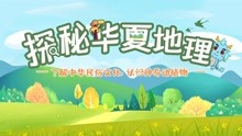 管家婆正版四不像图，探索游戏与现实交融的奇妙世界管家婆正版四不像图更新版