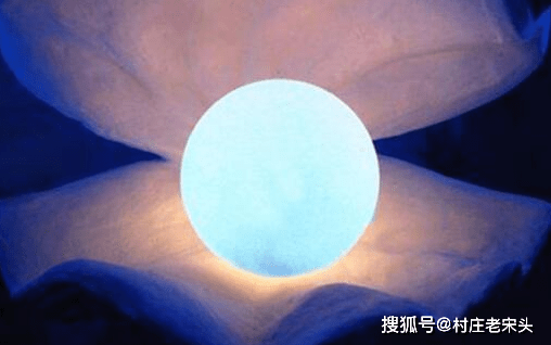 百万图库，数字时代的视觉盛宴百万图库夜明珠指什么生肖