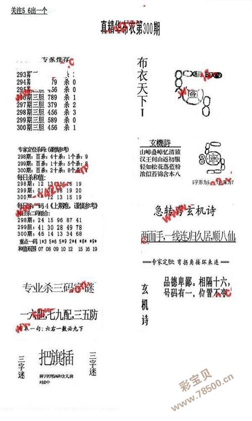 精准预测，揭秘一肖10%的神秘面纱精准一肖100%准确精准的含义