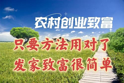 致富网629，解锁财富之门的在线平台三农养殖致富网