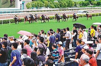 探索香港赛马会免费资料网的无限可能香港赛马会资料