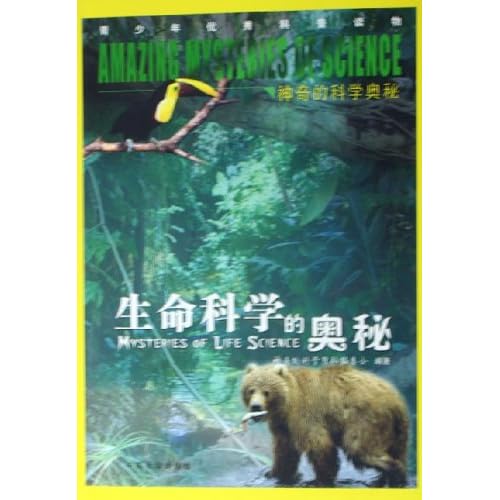 探索数字世界的奇妙，4957、四不像与081的神秘交织49579四不像908181美人鱼
