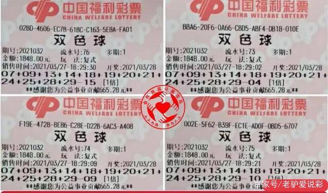 澳门天天开彩与香港彩票市场，204年新机遇的深度剖析2025新澳门天天精准免费大全