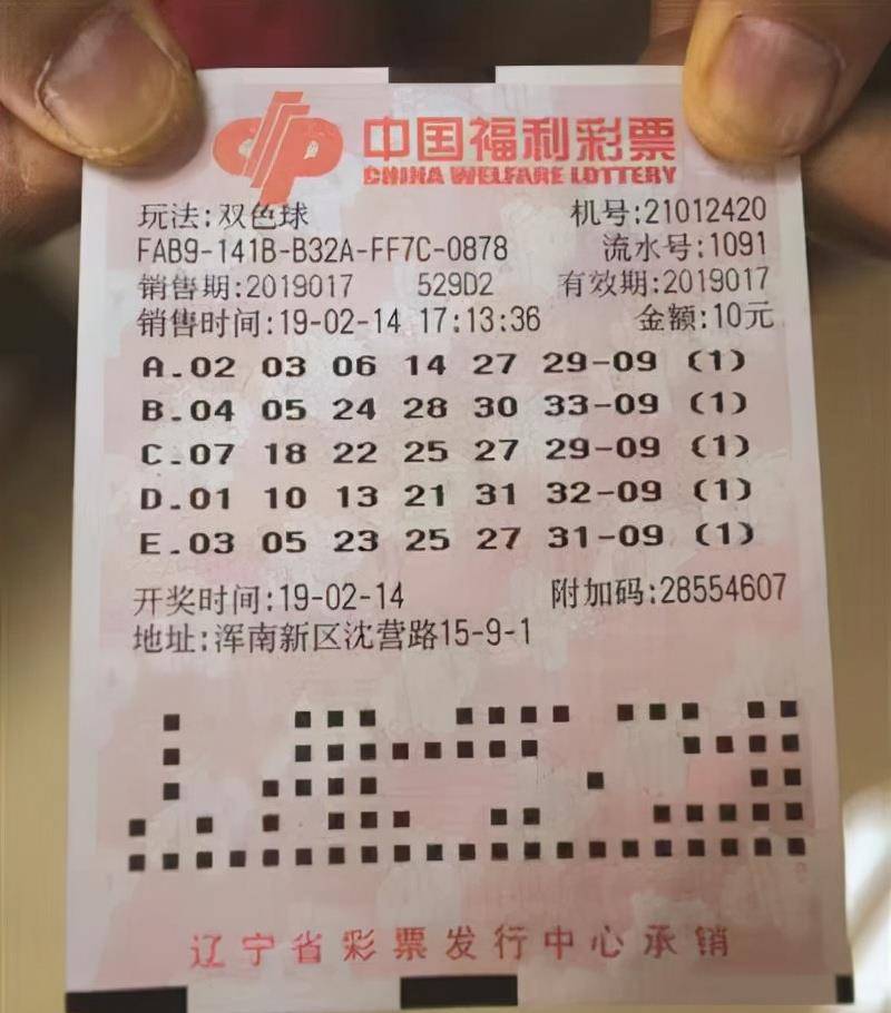澳门一码、生肖与中奖的奇妙世界澳门一码一肖一待一中四不像一