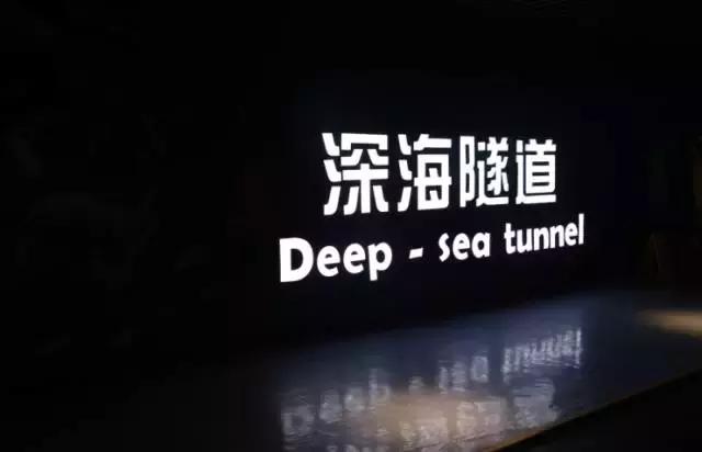 2046新澳正版免费资料，解锁知识海洋的钥匙澳门正版资料免费大全新闻