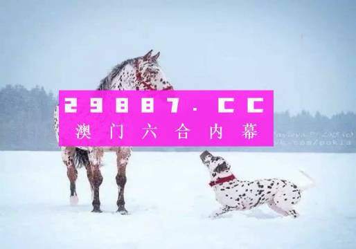澳门精准一肖与理性投注,探寻平衡之道澳门精准一肖一码100%精准