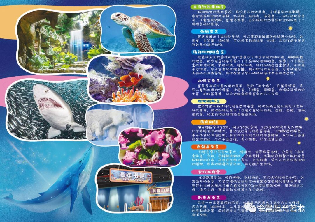 探索知识海洋，正版免费资料大全945的魅力与价值白小组正版免费资料大全