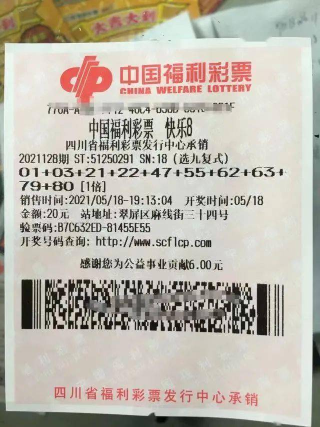 揭秘新澳204今晚开奖结果，理性看待彩票，享受生活乐趣新澳2024今晚开奖结果是什么