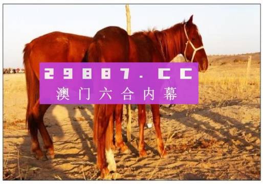 澳门六开彩，今晚的幸运之选新澳门最精准正最精准龙门