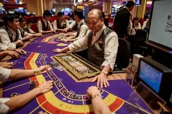 澳门精准一码发财，理性与机遇的交织之舞澳门精准一码发财小马哥