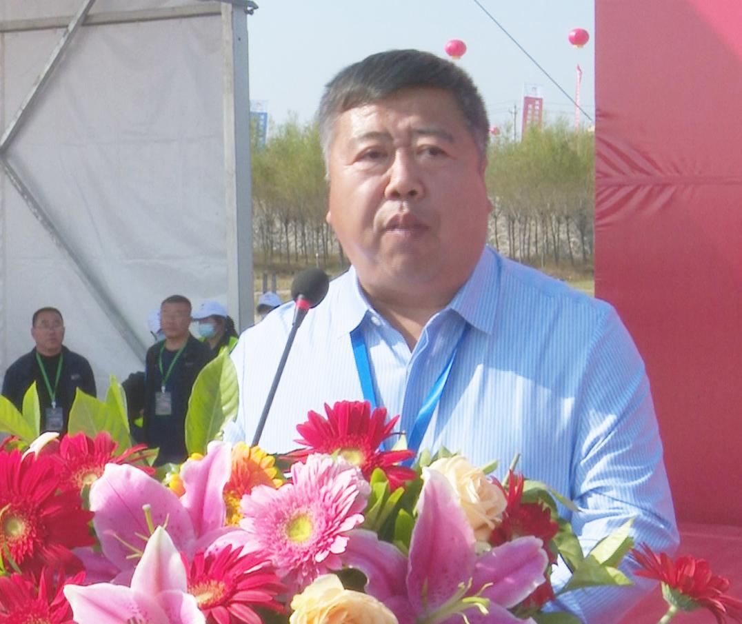 探索马会传真资料网站论坛，赛马的智慧与激情交汇处马会传真资料有准吗
