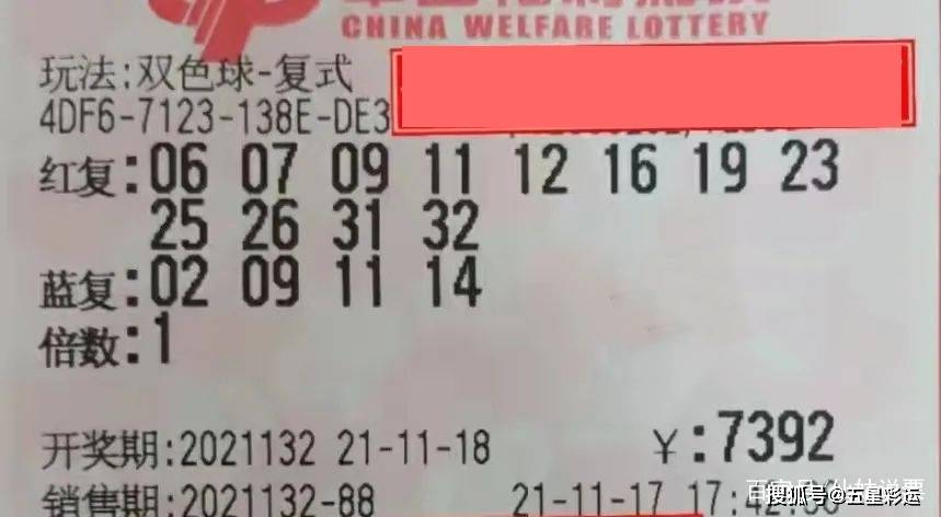 今晚新澳门必中一肖—揭秘彩票背后的真相与理性思考今晚澳门必哪肖?