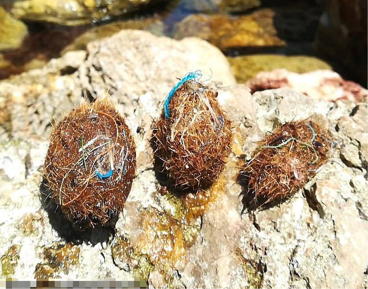 免费正版资料大全，解锁知识海洋的钥匙正版资料免费资料大全下载