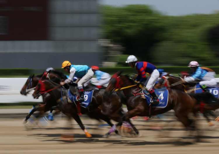 探索香港全年资料马会大全，赛马的魅力与文化深度香港2021年马会资料大全