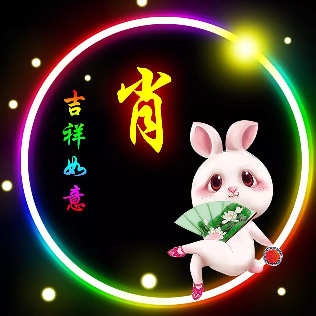 探索二肖3码的奥秘，数字与生肖间的奇妙结合二肖3码今天的资料