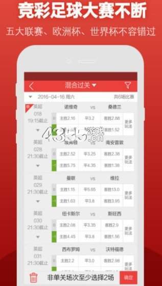 揭秘新澳204今晚开奖结果，理性看待彩票，享受娱乐不沉迷新澳2024今晚开奖结果查询