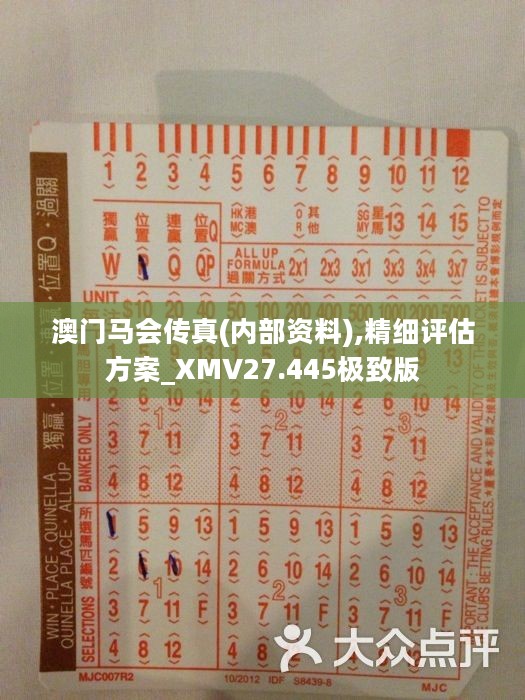 定义差异及其重要性正版马会传真资料+内部