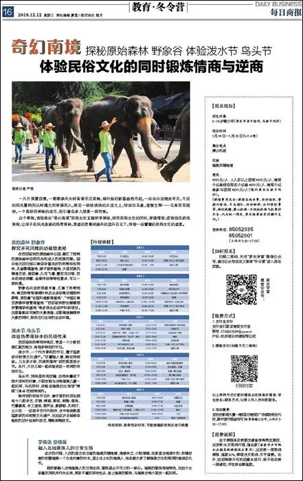 探索新奥门特，免费资料大全与火凤凰的崛起2025新澳天天开奖资料大全