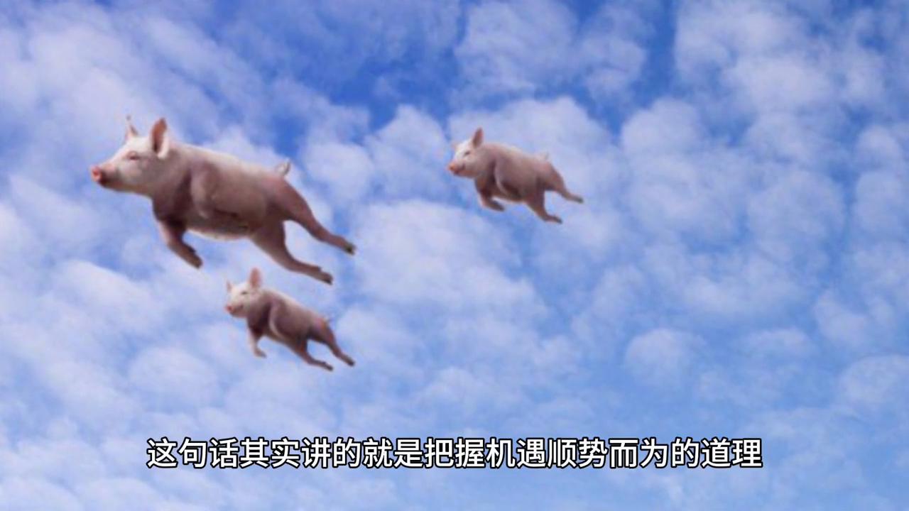 澳门一码，2043年展望与未来趋势澳门一码一肖一特一中2024年生肖卡