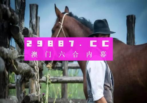 探索澳门，免费资料网站，解锁城市魅力打开澳门网站免费资料2023
