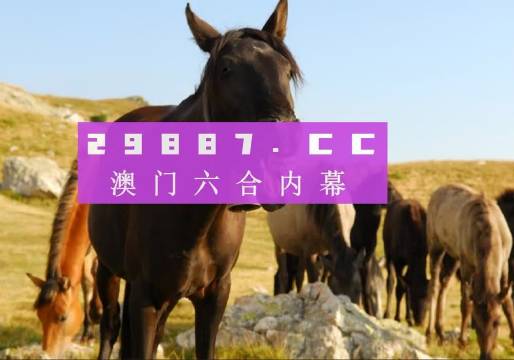 澳门管家婆一肖预测，精准与误解的边界澳门管家婆100中