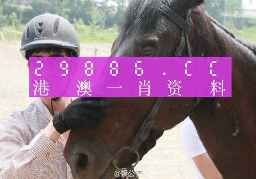 澳门一肖必中，今晚揭晓的幸运之谜澳门一肖一码必中一肖今晚最佳答案解释